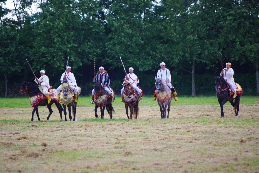 Le Moussem des Cultures 2008 219.jpg